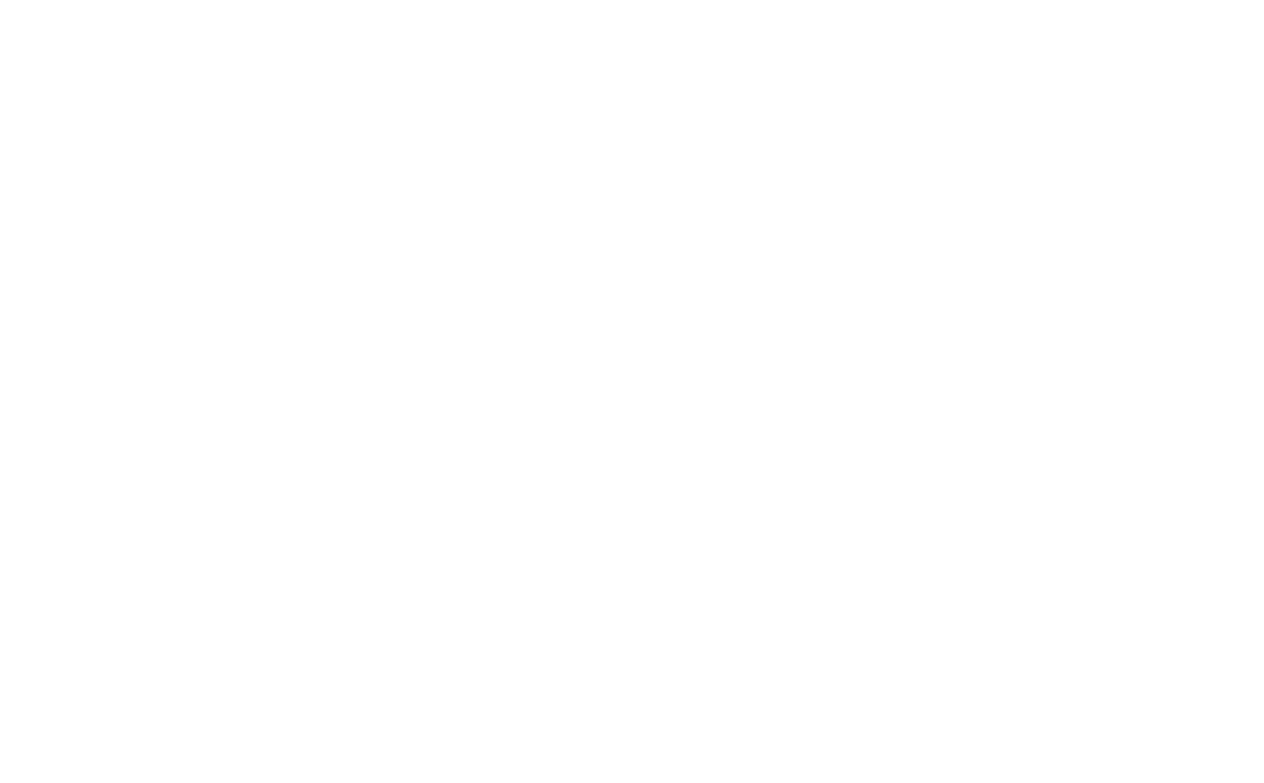 catfesta